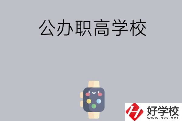 長(zhǎng)沙哪些公辦職高學(xué)校比較有特色？