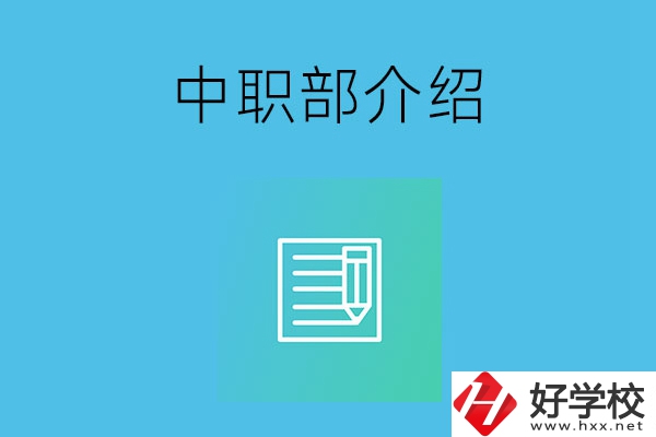 湘潭院校中職部介紹，這幾所學(xué)校你知道嗎？