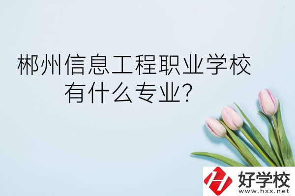 郴州信息工程職業(yè)學(xué)校有什么專業(yè)？