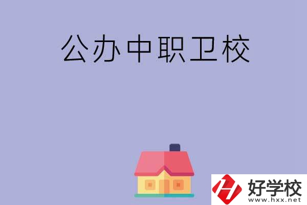 湖南公辦中職衛(wèi)校有哪些？這2所值得關(guān)注！