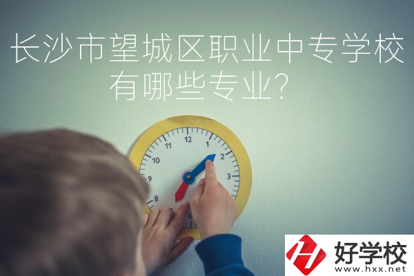 長(zhǎng)沙市望城區(qū)職業(yè)中等專業(yè)學(xué)校有哪些專業(yè)？