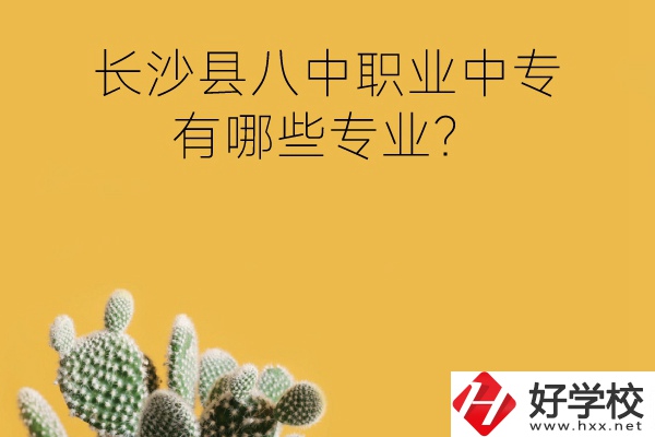 長沙縣八中職業(yè)中專好不好？有哪些專業(yè)？