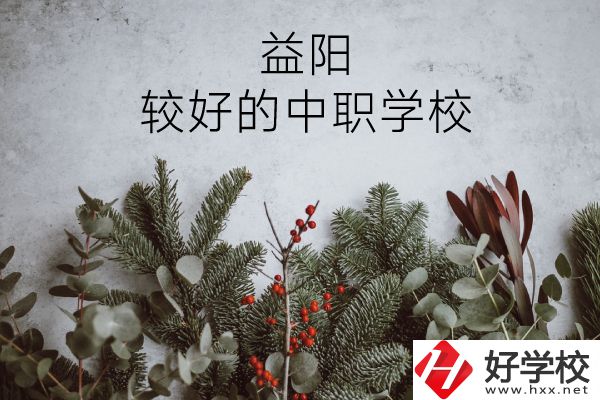 益陽有哪些中職學(xué)校比較好？