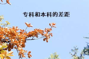 專(zhuān)科和本科的差距