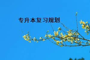 專升本復(fù)習規(guī)劃