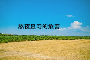 熬夜復(fù)習的危害