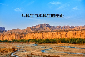 ?？粕c本科生的差距