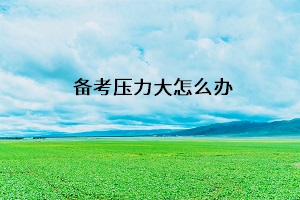 備考?jí)毫Υ笤趺崔k
