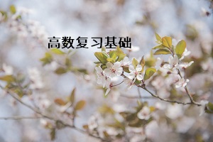 高數(shù)復(fù)習(xí)基礎(chǔ)