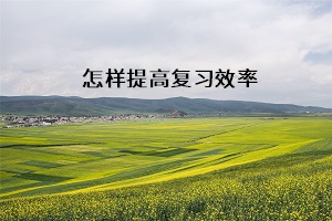 怎樣提高復習效率