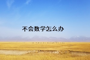 不會數(shù)學怎么辦