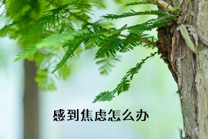 感到焦慮怎么辦
