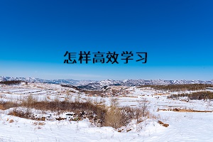 怎樣高效學(xué)習(xí)