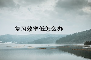 復(fù)習(xí)效率低怎么辦