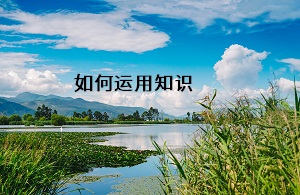 如何運(yùn)用知識