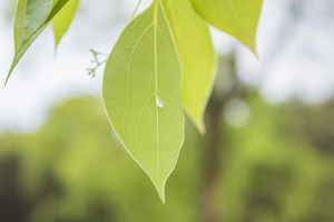 只看書不做題 只看書不做題