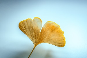 復習管理
