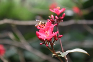 專升本對(duì)未來(lái)發(fā)展的影響