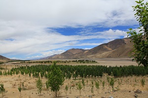 解題技巧 解題技巧