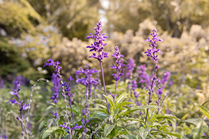 做好規(guī)劃 做好規(guī)劃