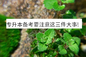 專升本備考要注意這三件大事