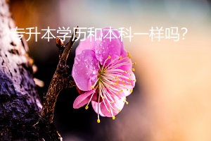 專升本學歷和本科一樣嗎？