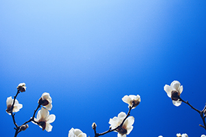 積極調整考試動機