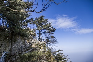 有什么區(qū)別