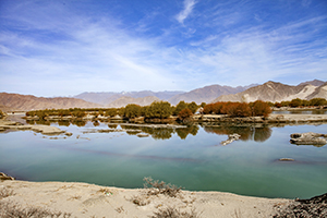 安排學(xué)習(xí)計(jì)劃 安排學(xué)習(xí)計(jì)劃