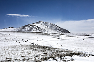 善于思考 善于思考