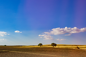 適當(dāng)減壓 適當(dāng)減壓