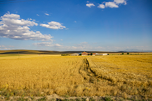 備考秘籍 備考秘籍