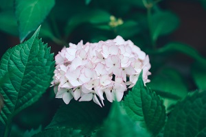 由公務(wù)員考試，看專升本的必要性