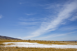 經(jīng)驗重要還是學歷重要 經(jīng)驗重要還是學歷重要