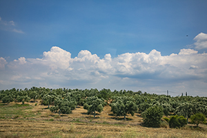 老式手機 老式手機