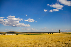 能力比文憑重要？