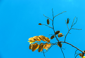 堅決執(zhí)行計劃 堅決執(zhí)行計劃