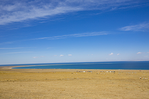 避免時(shí)間浪費(fèi) 避免時(shí)間浪費(fèi)