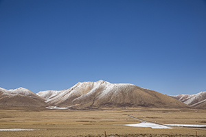 計(jì)劃全局性 計(jì)劃全局性