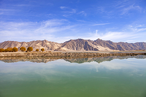 歷年真題的重要性