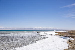 復(fù)習(xí)要有節(jié)奏 復(fù)習(xí)要有節(jié)奏