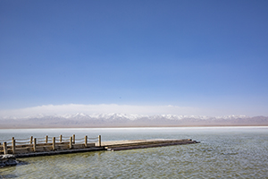 堅(jiān)持不到最后 堅(jiān)持不到最后