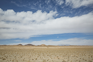 背了又忘 背了又忘