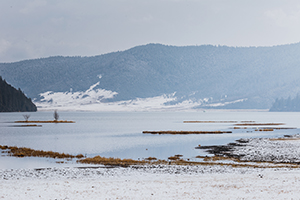 學(xué)習(xí)缺乏計(jì)劃性 學(xué)習(xí)缺乏計(jì)劃性