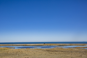 鞏固知識增強信心 鞏固知識增強信心