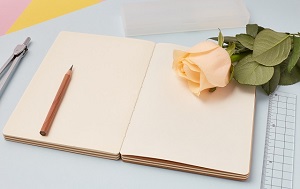 減少學(xué)習(xí)時(shí)的干擾