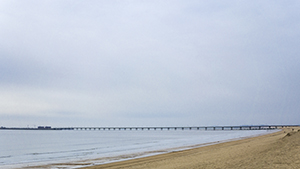 較強的學(xué)習(xí)能力 較強的學(xué)習(xí)能力