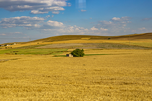 學(xué)習(xí)不連貫 學(xué)習(xí)不連貫