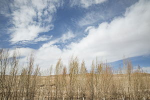 彌補(bǔ)高考的遺憾 彌補(bǔ)高考的遺憾