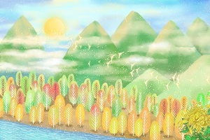 專升本如何選擇教材 專升本如何選擇教材